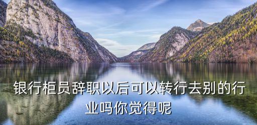  銀行柜員辭職以后可以轉(zhuǎn)行去別的行業(yè)嗎你覺(jué)得呢