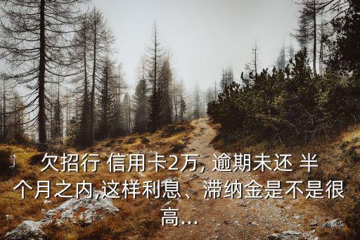 欠招行 信用卡2萬(wàn), 逾期未還 半個(gè)月之內(nèi),這樣利息、滯納金是不是很高...