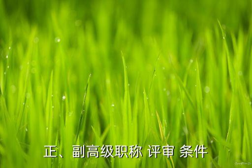 正、副高級職稱 評審 條件