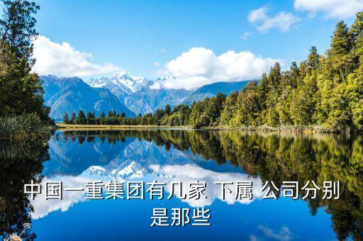 中國一重集團有幾家 下屬 公司分別是那些