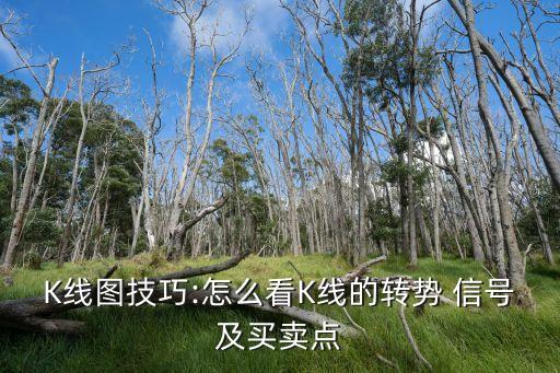 K線(xiàn)圖技巧:怎么看K線(xiàn)的轉(zhuǎn)勢(shì) 信號(hào)及買(mǎi)賣(mài)點(diǎn)