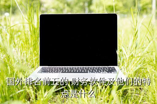 國外排名前五的 財務軟件及他們的特點是什么