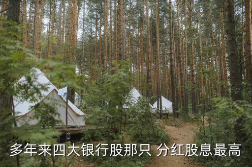 多年來(lái)四大銀行股那只 分紅股息最高