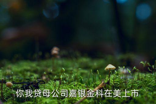 上?；ヂ?lián)網(wǎng)金融行業(yè)協(xié)會(huì),南寧市互聯(lián)網(wǎng)金融行業(yè)協(xié)會(huì)錢盆網(wǎng)