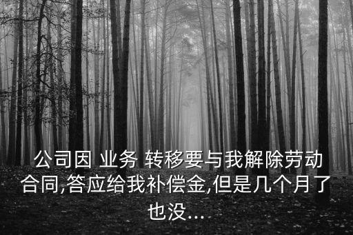  公司因 業(yè)務 轉(zhuǎn)移要與我解除勞動合同,答應給我補償金,但是幾個月了也沒...