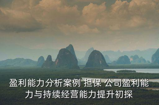 盈利能力分析案例 擔保 公司盈利能力與持續(xù)經營能力提升初探