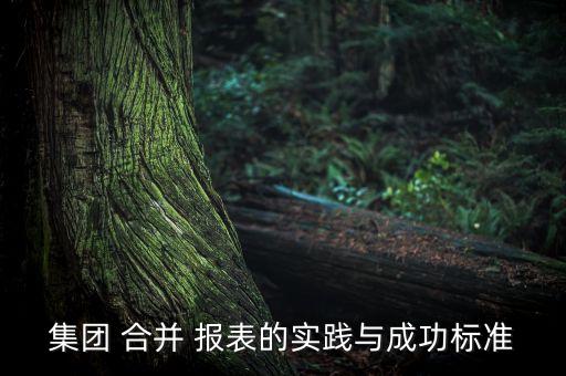 集團(tuán) 合并 報表的實踐與成功標(biāo)準(zhǔn)