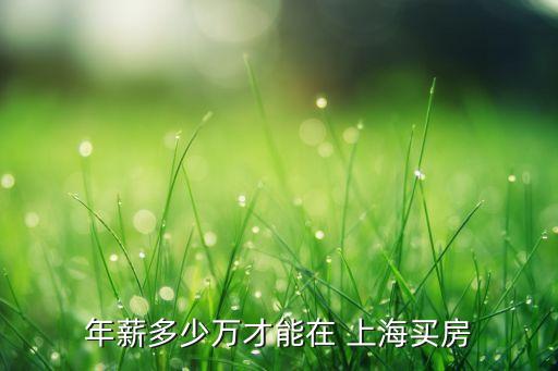 年薪多少萬(wàn)才能在 上海買房