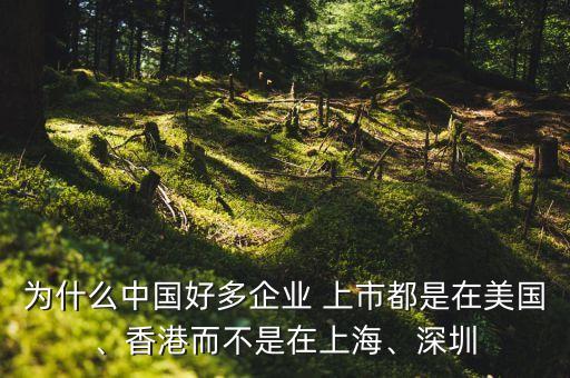 為什么中國(guó)好多企業(yè) 上市都是在美國(guó)、香港而不是在上海、深圳