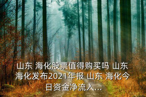  山東 ?；善敝档觅徺I嗎 山東 海化發(fā)布2021年報 山東 ?；袢召Y金凈流入...