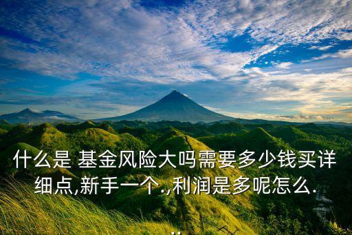 什么是 基金風險大嗎需要多少錢買詳細點,新手一個.,利潤是多呢怎么...