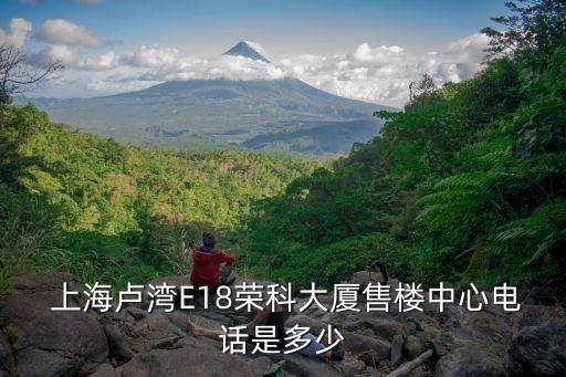  上海盧灣E18榮科大廈售樓中心電話(huà)是多少
