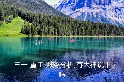  三一 重工 財(cái)務(wù)分析,有大神說下嗎