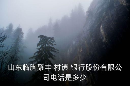 山東臨朐聚豐 村鎮(zhèn) 銀行股份有限公司電話(huà)是多少