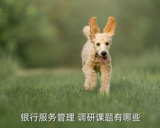  銀行服務管理 調(diào)研課題有哪些