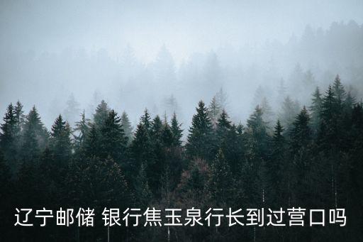 銀行領(lǐng)導調(diào)研