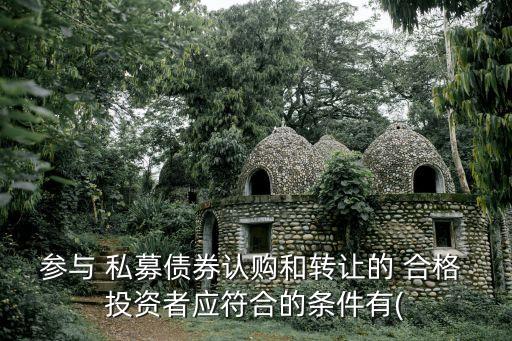 參與 私募債券認購和轉(zhuǎn)讓的 合格 投資者應(yīng)符合的條件有(