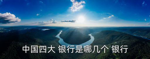2013年國內銀行資產(chǎn)規(guī)模排名