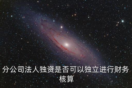 分公司法人獨資是否可以獨立進行財務(wù) 核算