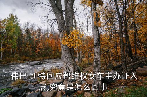  偉巴 斯特回應(yīng)幫維權(quán)女車(chē)主辦證入展,究竟是怎么回事