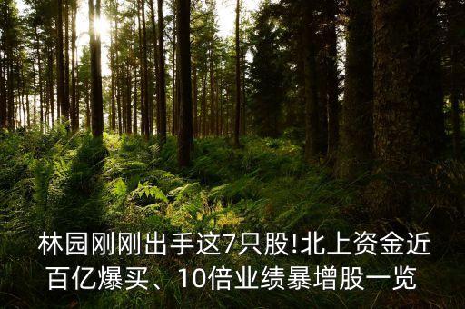  林園剛剛出手這7只股!北上資金近百億爆買、10倍業(yè)績暴增股一覽