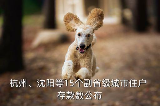 杭州、沈陽等15個(gè)副省級城市住戶 存款數(shù)公布