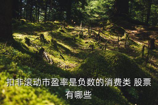 扣非滾動市盈率是負(fù)數(shù)的消費(fèi)類 股票有哪些