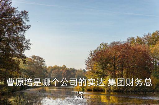 曹原培是哪個公司的實達 集團財務(wù)總監(jiān)