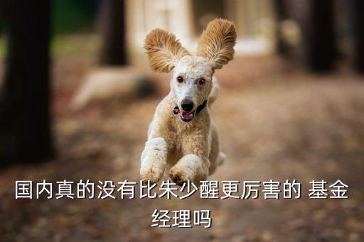 曹名長中歐價(jià)值基金,中歐基金曹名長管理的基金