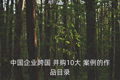 中國(guó)企業(yè)跨國(guó) 并購10大 案例的作品目錄