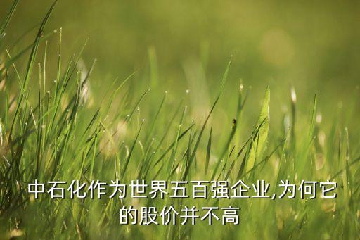  中石化作為世界五百強(qiáng)企業(yè),為何它的股價并不高