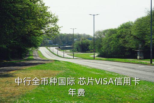 中行全幣種國(guó)際 芯片VISA信用卡年費(fèi)