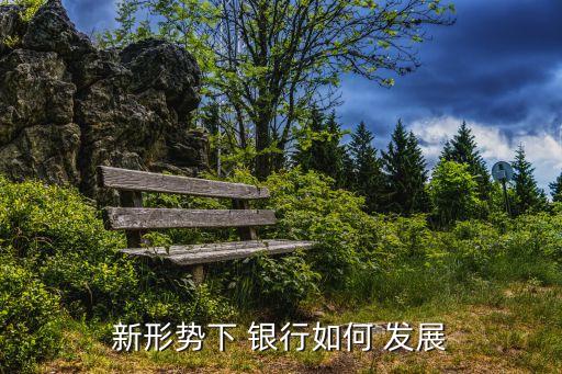 促進銀行發(fā)展的建議,如何促進銀行高質量發(fā)展