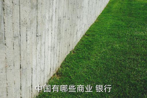 中國(guó)有哪些商業(yè) 銀行