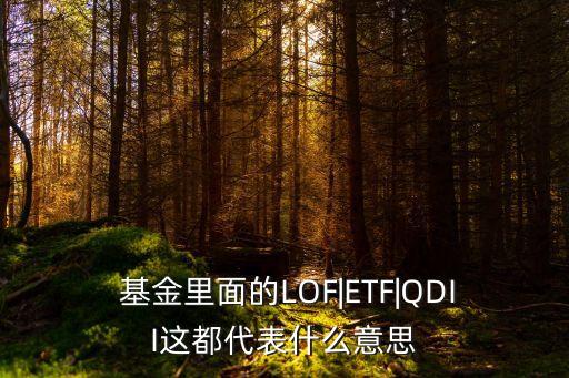 基金qdii美國,美國房地產基金QDII