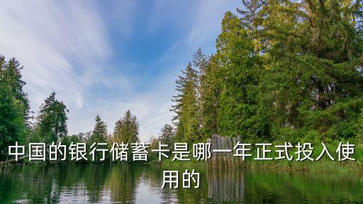 中國的銀行儲(chǔ)蓄卡是哪一年正式投入使用的