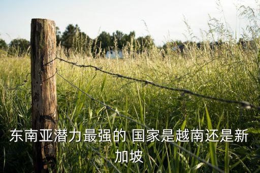 東南亞潛力最強(qiáng)的 國(guó)家是越南還是新加坡
