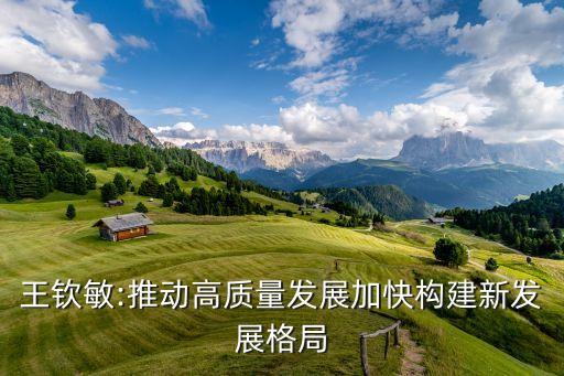 王欽敏:推動高質量發(fā)展加快構建新發(fā)展格局