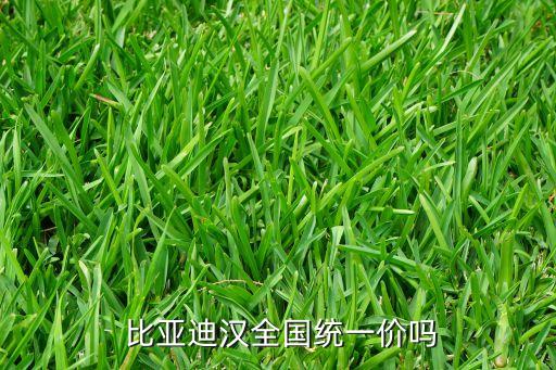  比亞迪漢全國統(tǒng)一價(jià)嗎