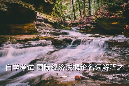 自學考試 國際經(jīng)濟法概論名詞解釋之二