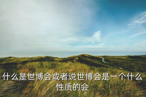 什么是世博會或者說世博會是一個(gè)什么性質(zhì)的會