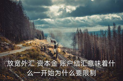 放寬外匯 資本金 賬戶結匯意味著什么一開始為什么要限制
