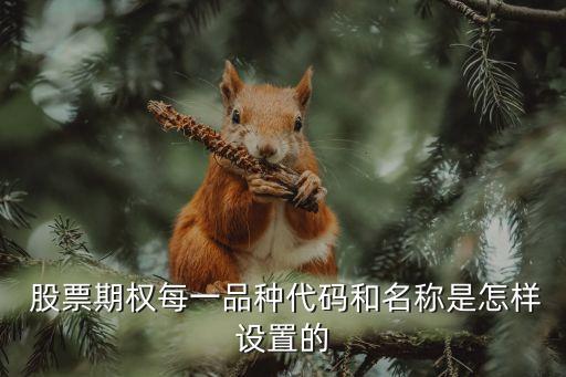  股票期權(quán)每一品種代碼和名稱(chēng)是怎樣設(shè)置的