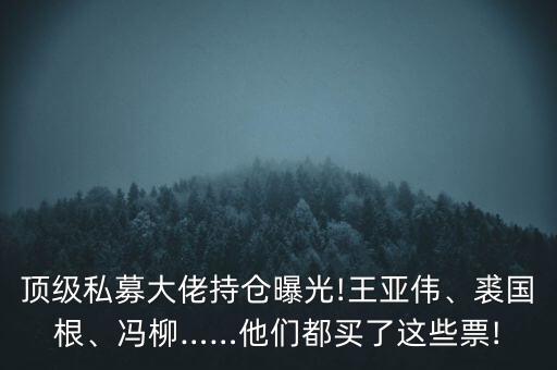 頂級私募大佬持倉曝光!王亞偉、裘國根、馮柳……他們都買了這些票!