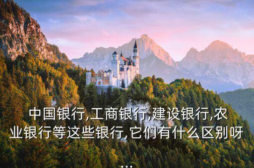  中國銀行,工商銀行,建設銀行,農業(yè)銀行等這些銀行,它們有什么區(qū)別呀...