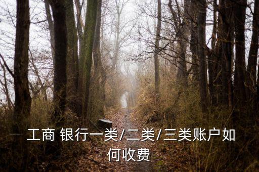  工商 銀行一類(lèi)/二類(lèi)/三類(lèi)賬戶(hù)如何收費(fèi)