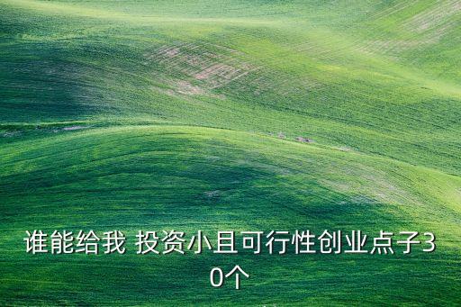 誰能給我 投資小且可行性創(chuàng)業(yè)點(diǎn)子30個