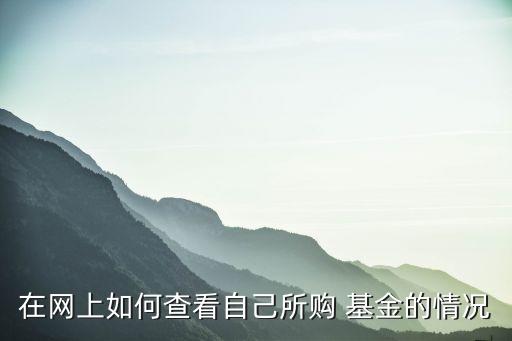 在網上如何查看自己所購 基金的情況