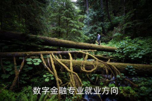 數字金融專業(yè)就業(yè)方向