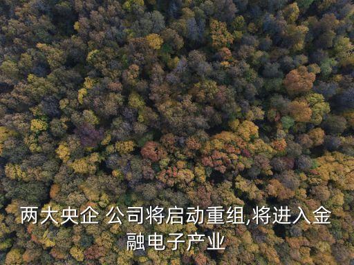 兩大央企 公司將啟動重組,將進(jìn)入金融電子產(chǎn)業(yè)
